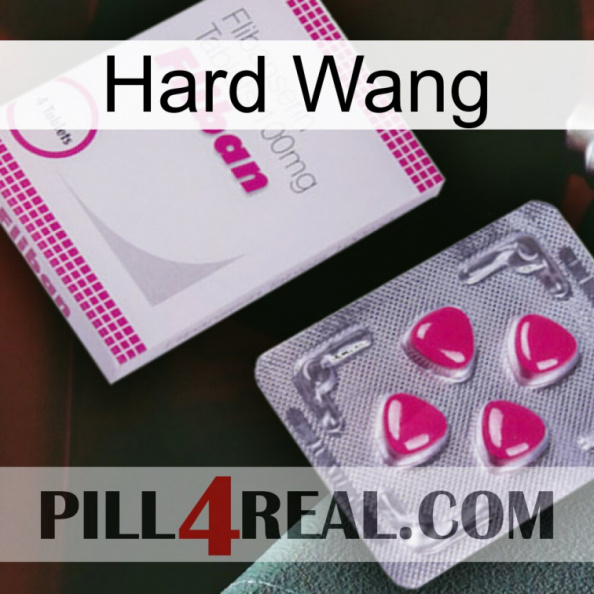 Hard Wang 32.jpg